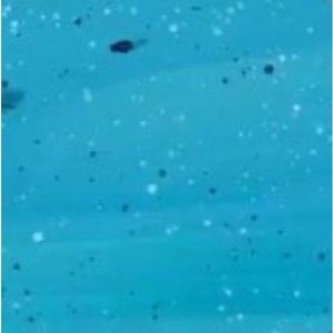 Meet your Posher, Plastic